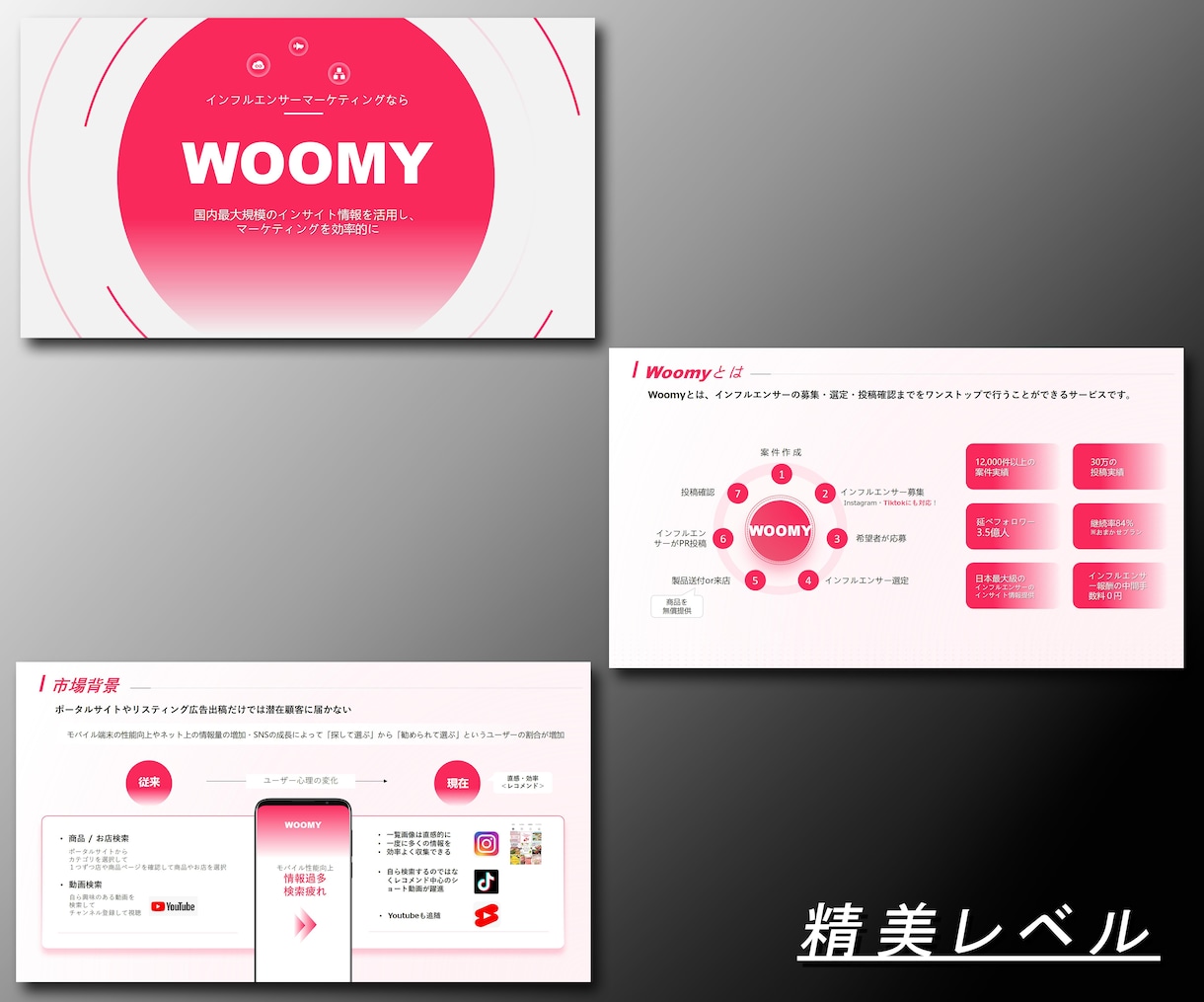 精美、豪華なパワーポイント資料を作れます 精美、豪華なPPT/日本語/外国語/修正無料 イメージ2