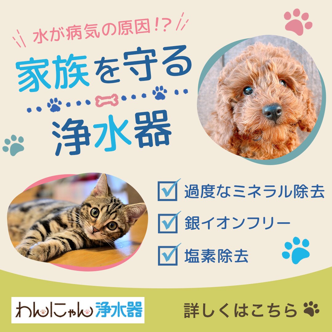 パッと目に留まる！目が喜ぶ！画像制作承ります ジャンルは問わずイメージに合わせたデザインをご提供！ イメージ10