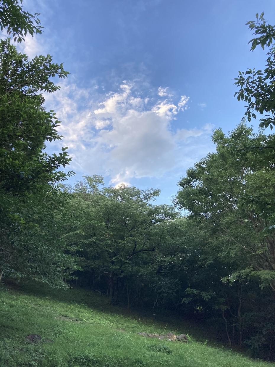 自然や動物などの風景写真を提供します 癒しの風景、旅先などの自然の写真です。心が動く写真。 イメージ5