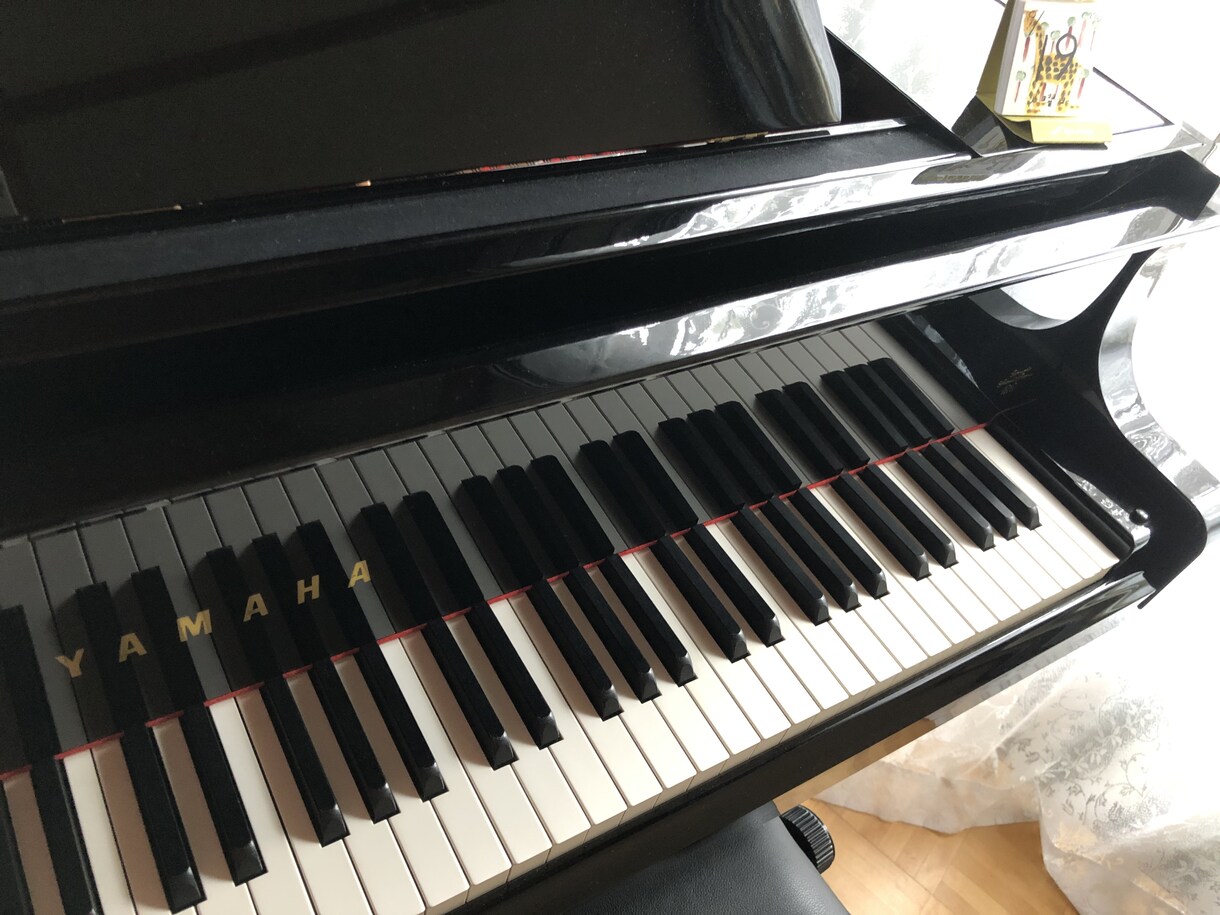 初心者向けオンラインレッスンます やってみよう‼️ドキドキワクワクも楽しみましょう イメージ1