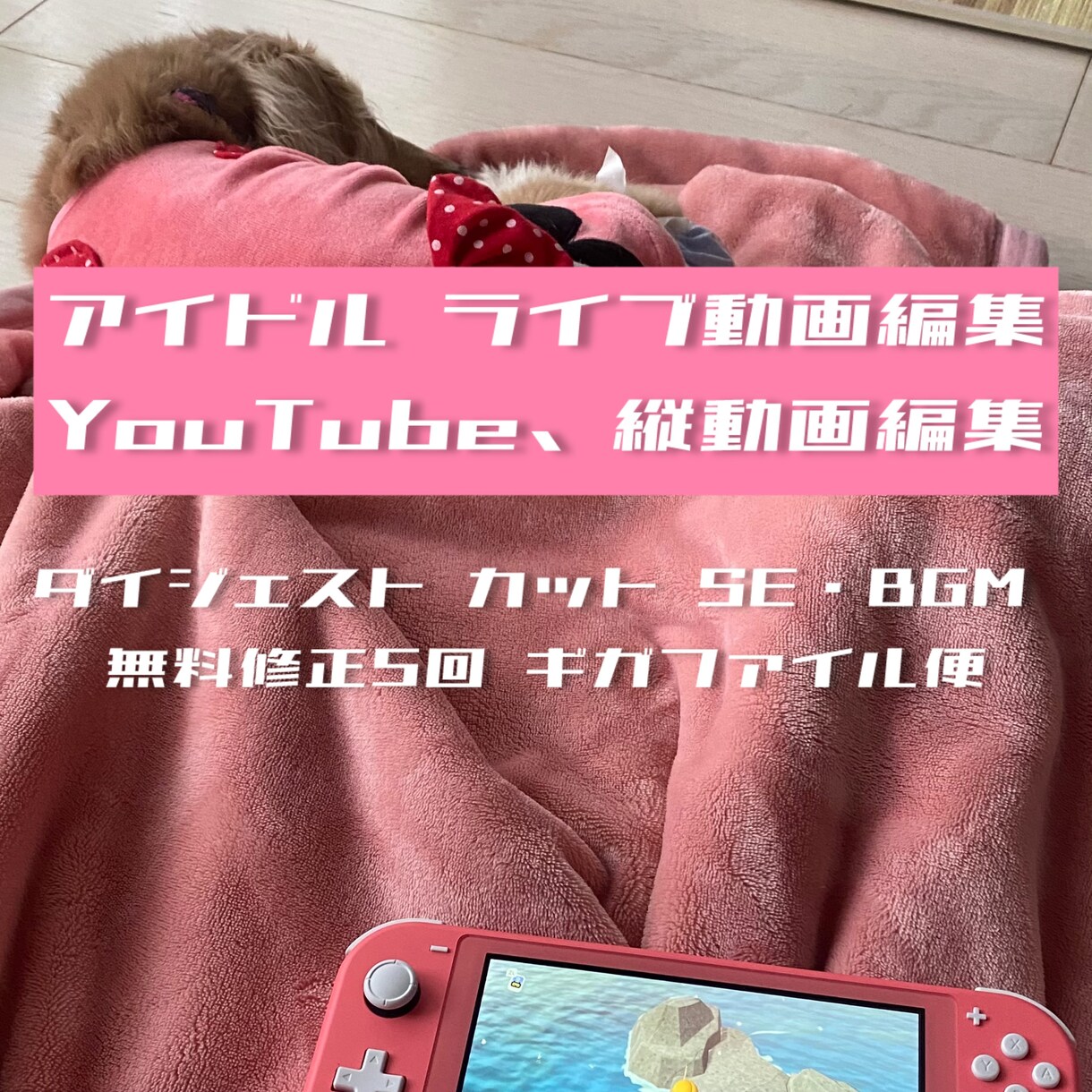 アイドルの動画編集します アイドルスタッフ、音楽活動経験者に是非お任せください！ イメージ1
