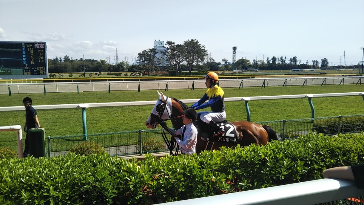 競馬の予想ます 中央競馬から南関東競馬まで毎日の競馬で的中馬券をプレゼント！ イメージ1