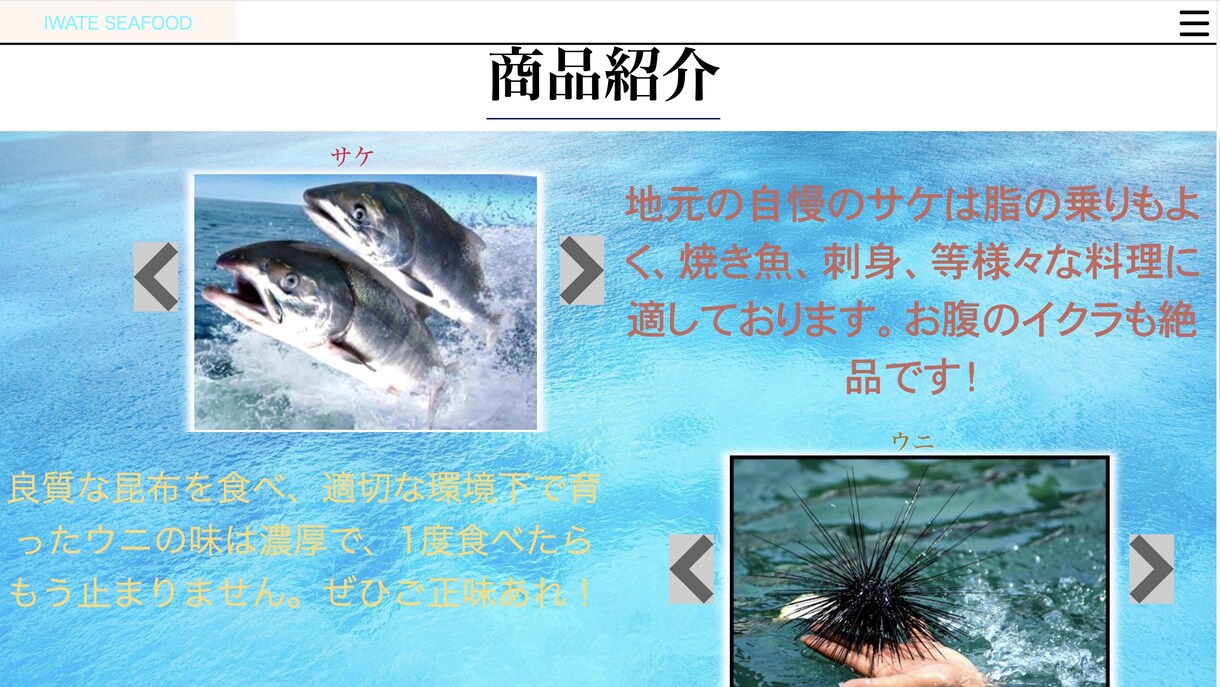 WEBサイトのご相談請負いたします WEBサイトに関するお悩み等をヒアリングし、改善いたします！ イメージ6