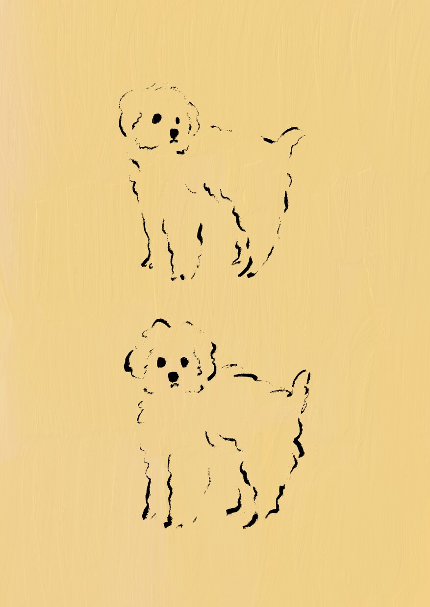 ゆるふわイラストを描きます SNSのアイコンにしたりプリントアウトして飾っても◎ イメージ1