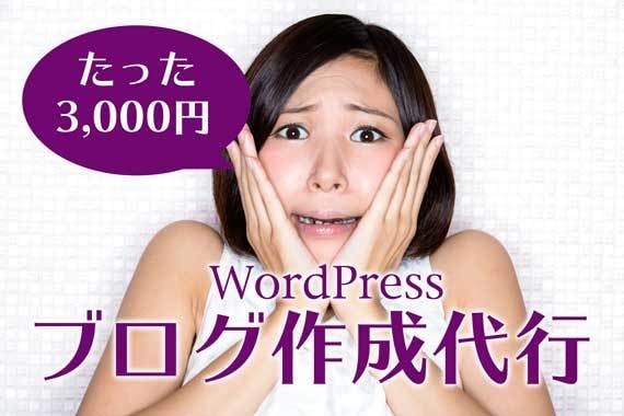 面倒な設定不要！デザインの良いブログすぐに作ります Wordpressで副業ブログをお考えの初心者の方歓迎！ イメージ1