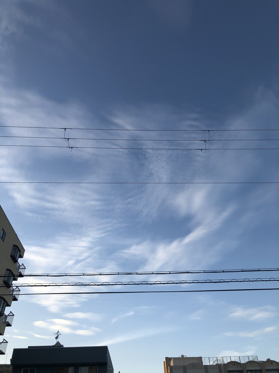 なんでも聞きます 仕事の愚痴等、ただ話し相手が欲しい方も大歓迎です イメージ1