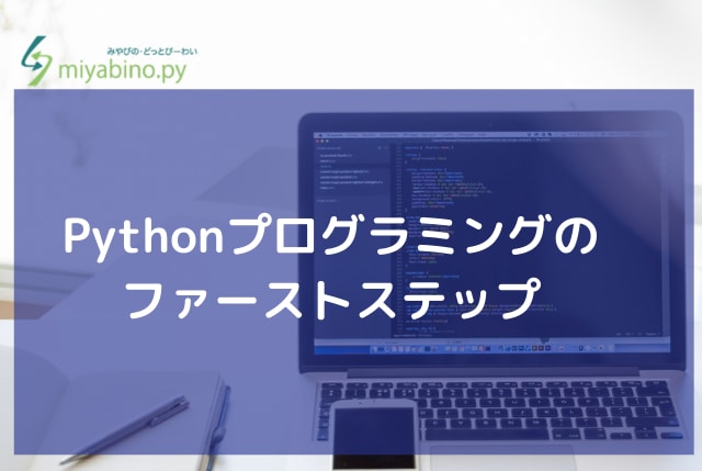 Pythonプログラミングの始め方をサポートします プログラミングのファーストステップを教えます イメージ1