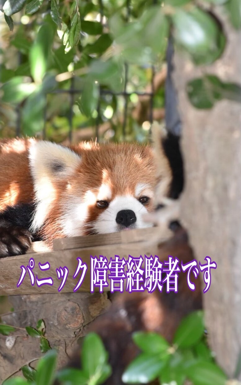 パニック障害経験者が5分、お話うかがいます パニック障害との付き合い方等　5分お話ししましょう。 イメージ1
