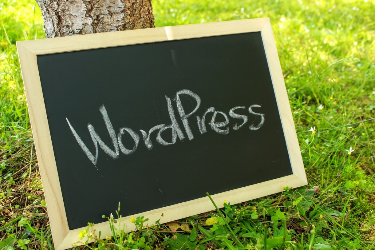 WordPressの基本操作をレクチャーします デジタルが苦手だけどWordPressに挑戦中の初心者さんへ イメージ1