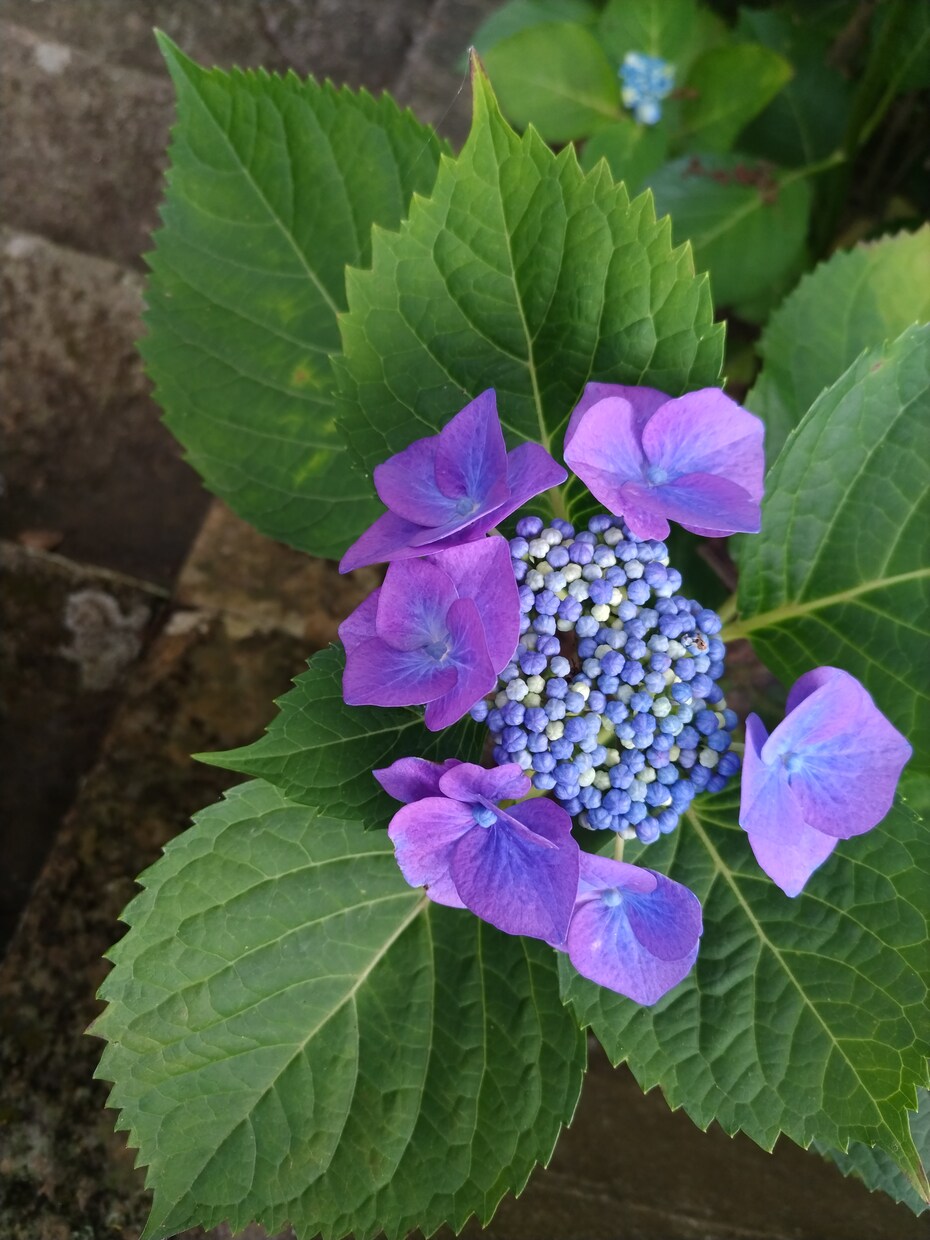 職場の愚痴、なかなか言えないよね。なら私が聞きます 独りで抱え込まないで！いつでも頼れる相談窓口でストレスフリー イメージ6