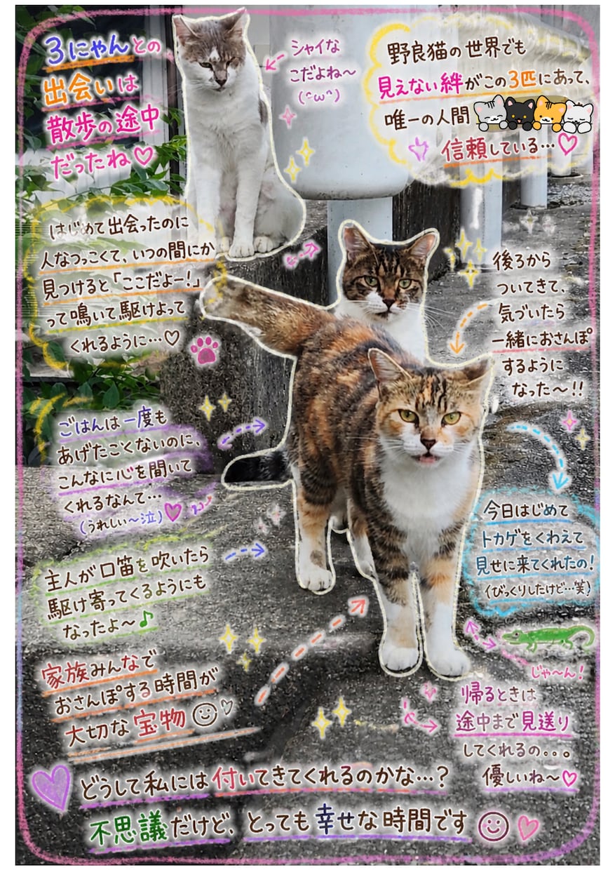あなたのペットが伝えたい気持ち・言葉をお伝えします ♡あなたにだけ伝えたい、あの子の本音を届けます♡ イメージ8
