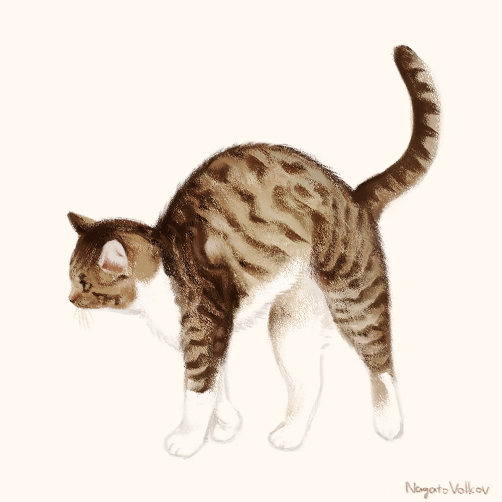 限定価格！絵本の挿絵のようなイラストを描きます アイコン、ヘッダー用に暖かい手描きイラストが欲しい方へ イメージ7