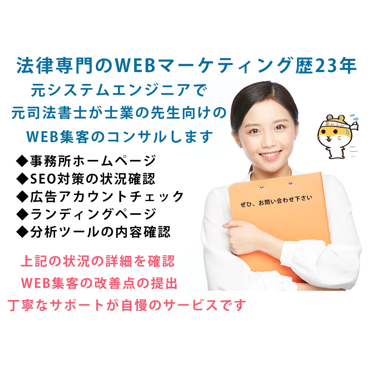 士業の先生向けのWEB集客のコンサルいたします 法律業務のWEBマーケティング歴２３年の経験があります イメージ1