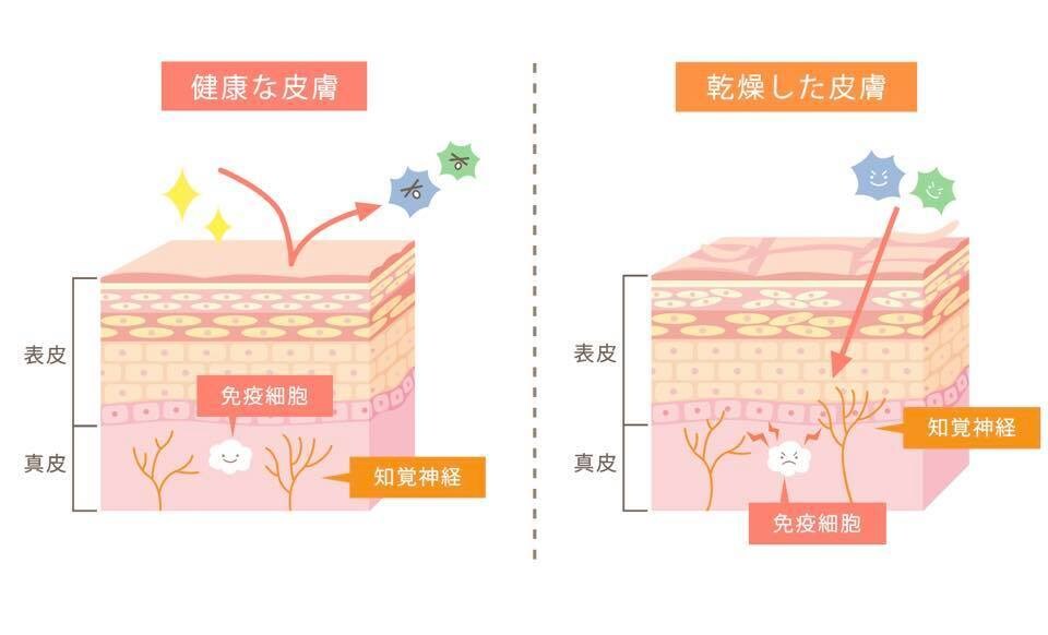 分かりやすい！伝わる！図解・解説イラスト制作します 整形外科・歯科・美容外科様など様々な図解イラストを作成 イメージ6
