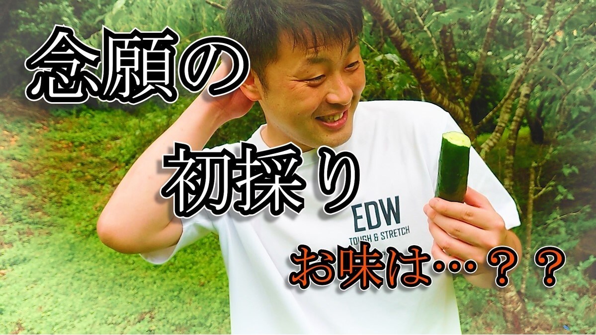 PV，思い出動画、結婚式余興動画等作ります どんな事でもまず相談!PremierProのノウハウあります イメージ1