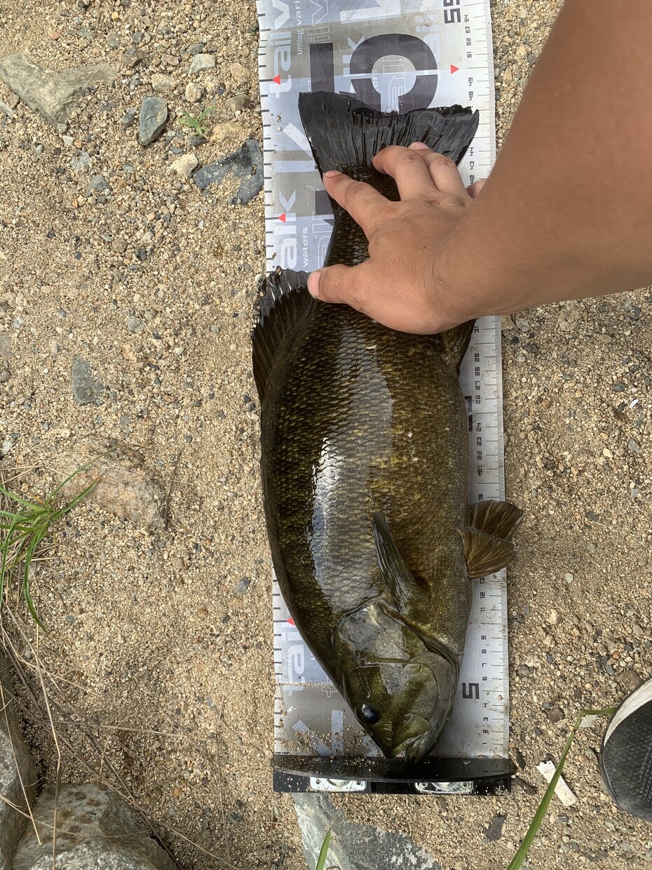 一庫ダムのポイント教えます スモールマウスバスが釣れるポイント教えます！ イメージ2