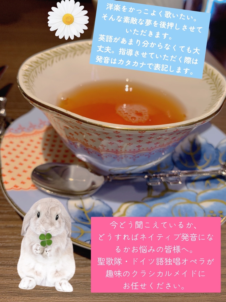 英語の歌をクールに。洋楽の歌の発音をチェックします メイドが貴方の英語歌詞の発音チェック!洋楽を格好良くします イメージ4
