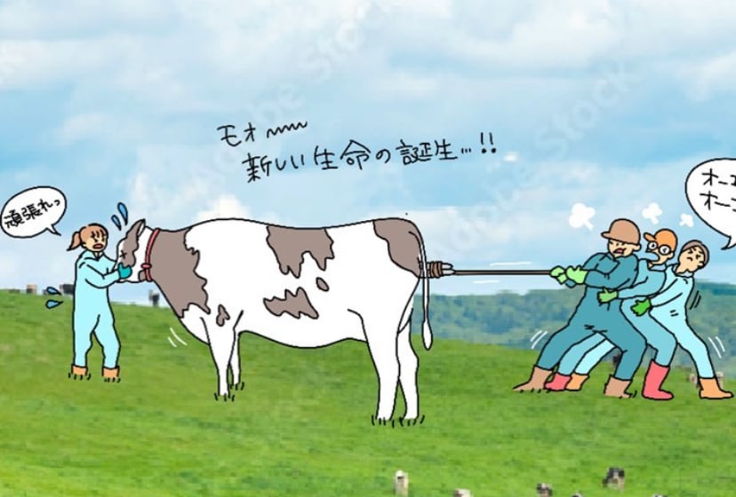 企業・メディア実績多数あります 説明をやさしく補う“伝わる挿絵”描きます（商用OK） イメージ4