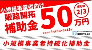 祝採択！小規模事業者持続化補助金申請書を販売します 楽天とShopifyの出店＆構築費用で採択済み申請書です！ イメージ4