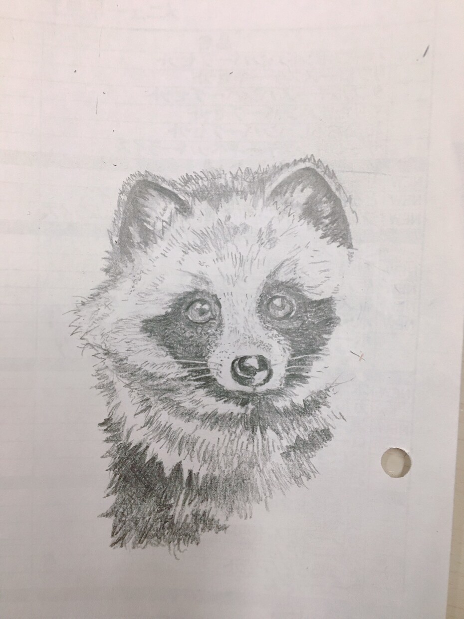 動物のイラスト、描きます 落書きくらいの感覚で描きます。初心者なのでお手柔らかに。 イメージ2