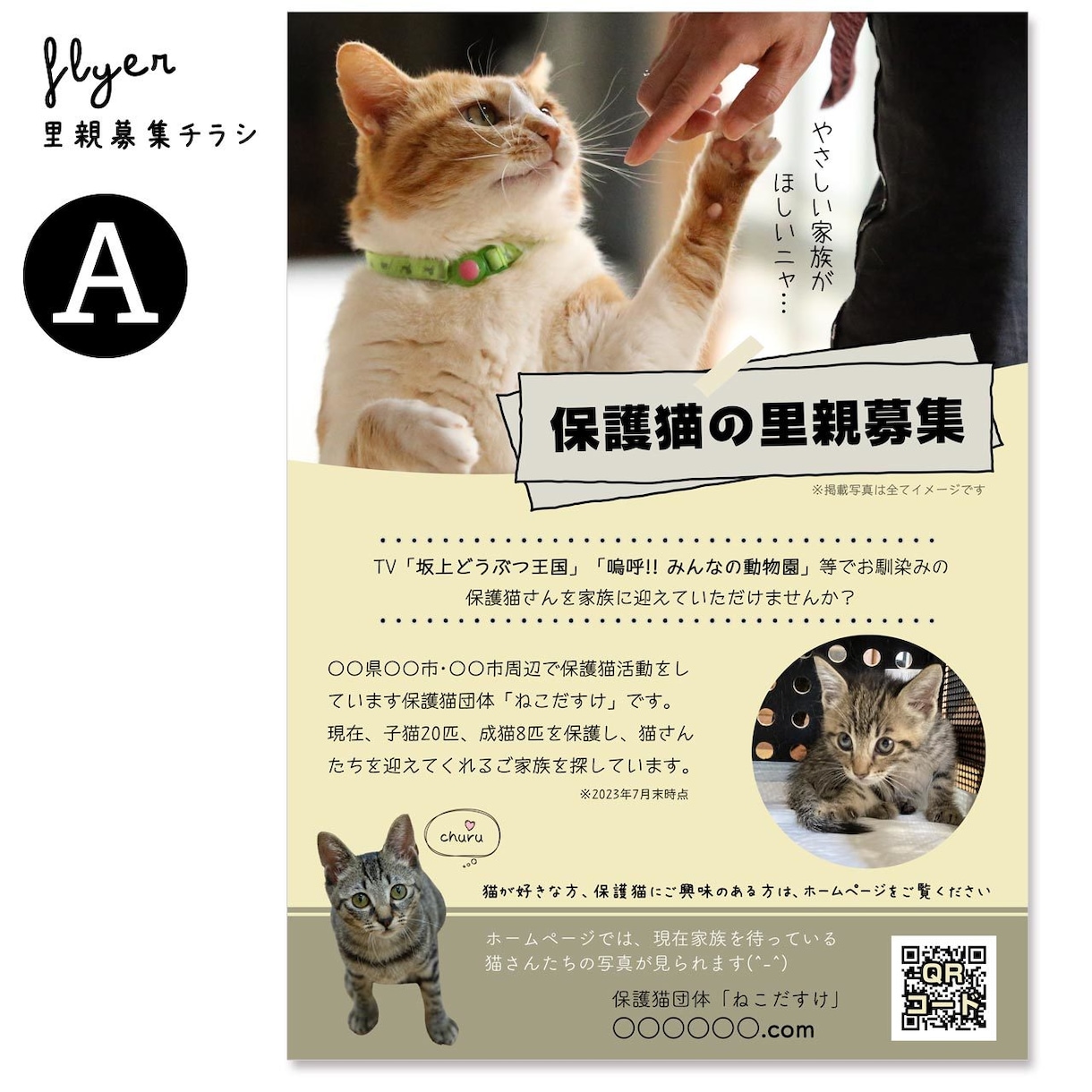 里親募集チラシ（保護団体さま用）をお作りします 保護猫･保護犬活動を広くお知らせしましょう！ イメージ3