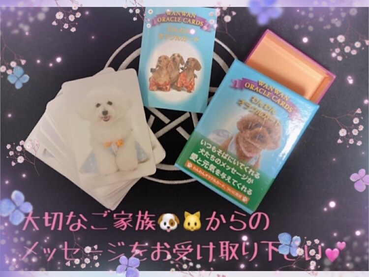ペット占い♡ご家族のペット犬・猫ちゃん占います ！大切なワンちゃん・ニャンちゃんのお話しを存分にしましょう！ イメージ7