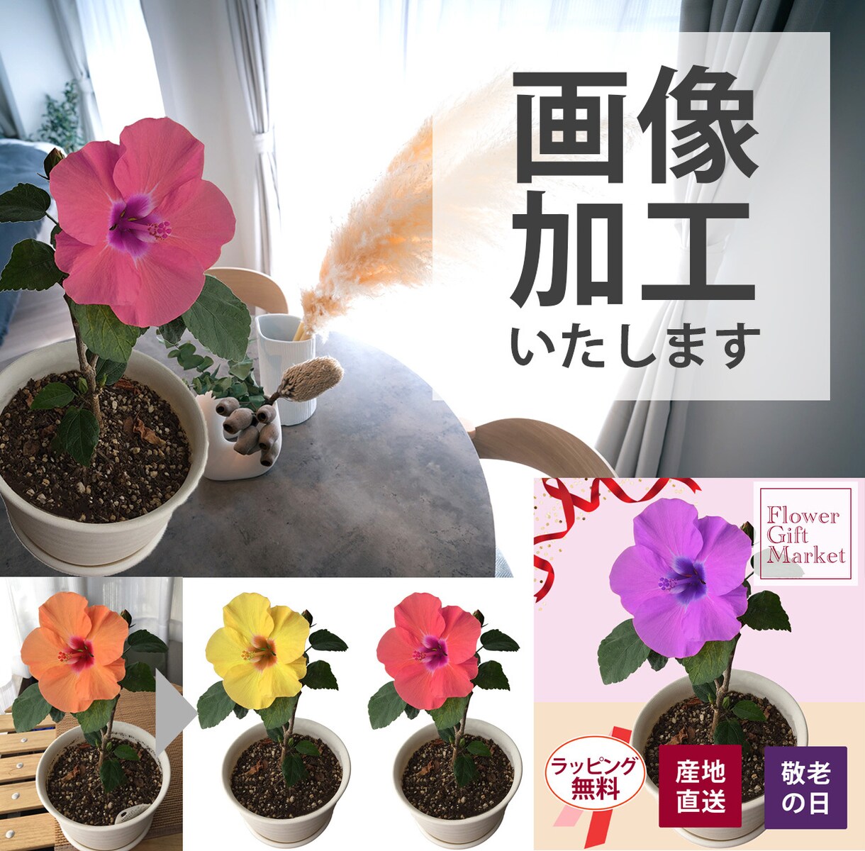 切り抜き・白背景・文字入れなど、画像加工いたします 修正無制限/現役レタッチャーが対応いたします イメージ1