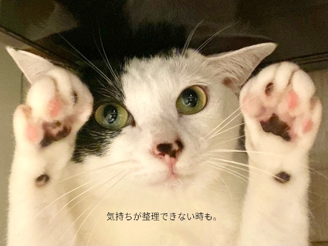 話してほっとしよ！あなたの声にならない声を聴きます 落ち着いて、一息。あなたのペースでゆっくりとお話聴きます。 イメージ7