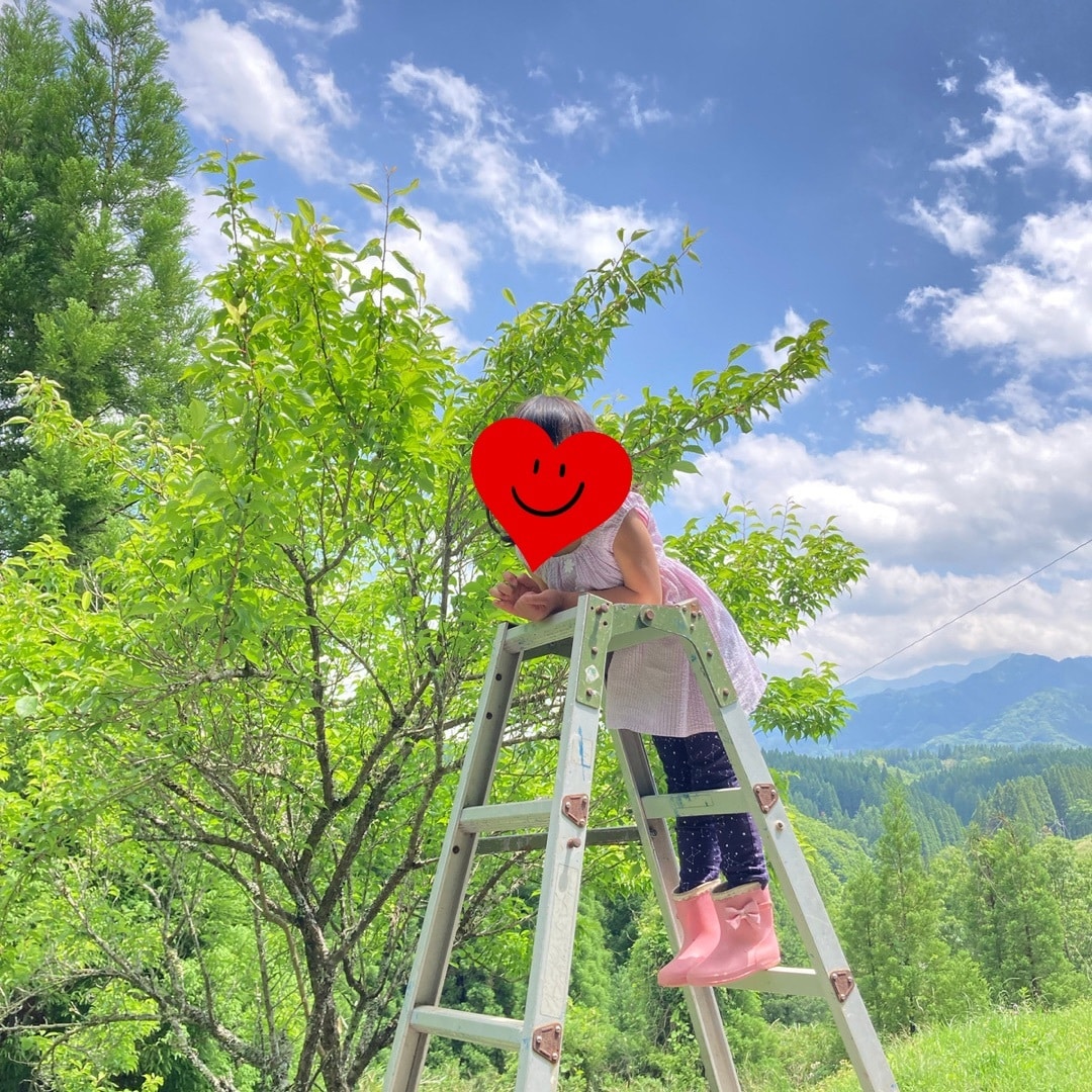 田舎移住×子育ての不安、相談のります 関東出身者から見た、田舎での子育て。メリット、デメリット イメージ3