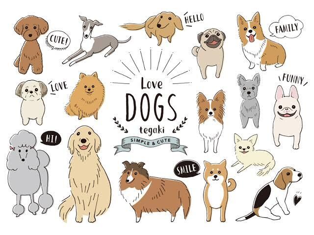 英語でチャットしながら保護犬を支援できます チャットし放題！まるで外国人の友達と話しているような会話 イメージ1