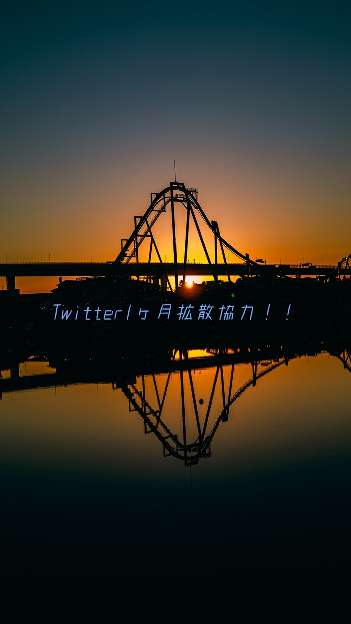 写真アカウント限定1ヶ月Twitter拡散します 多くの人に写真を見て欲しい人にオススメ！！ イメージ1