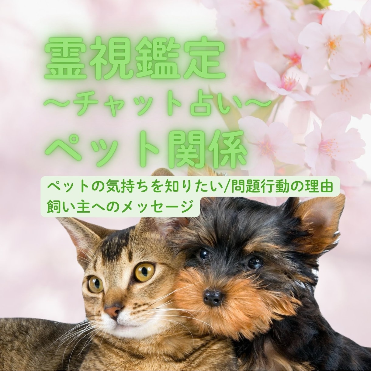 霊視からペットの気持ちを鑑定いたします 飼い主さんの不安に寄り添います♪ イメージ1
