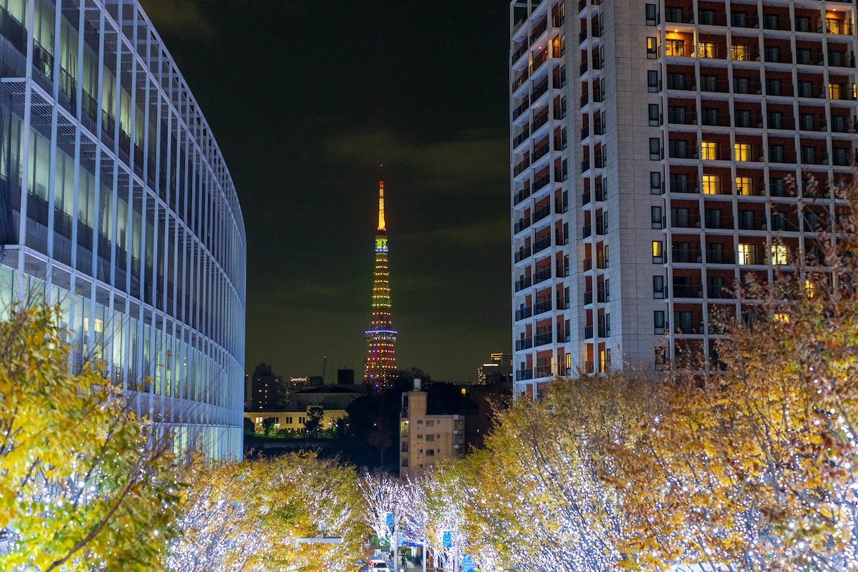 感情に訴え、読者をファン化する記事を執筆します 【プロ写真家】写真の力とプロのライティングで刺さる記事 イメージ6