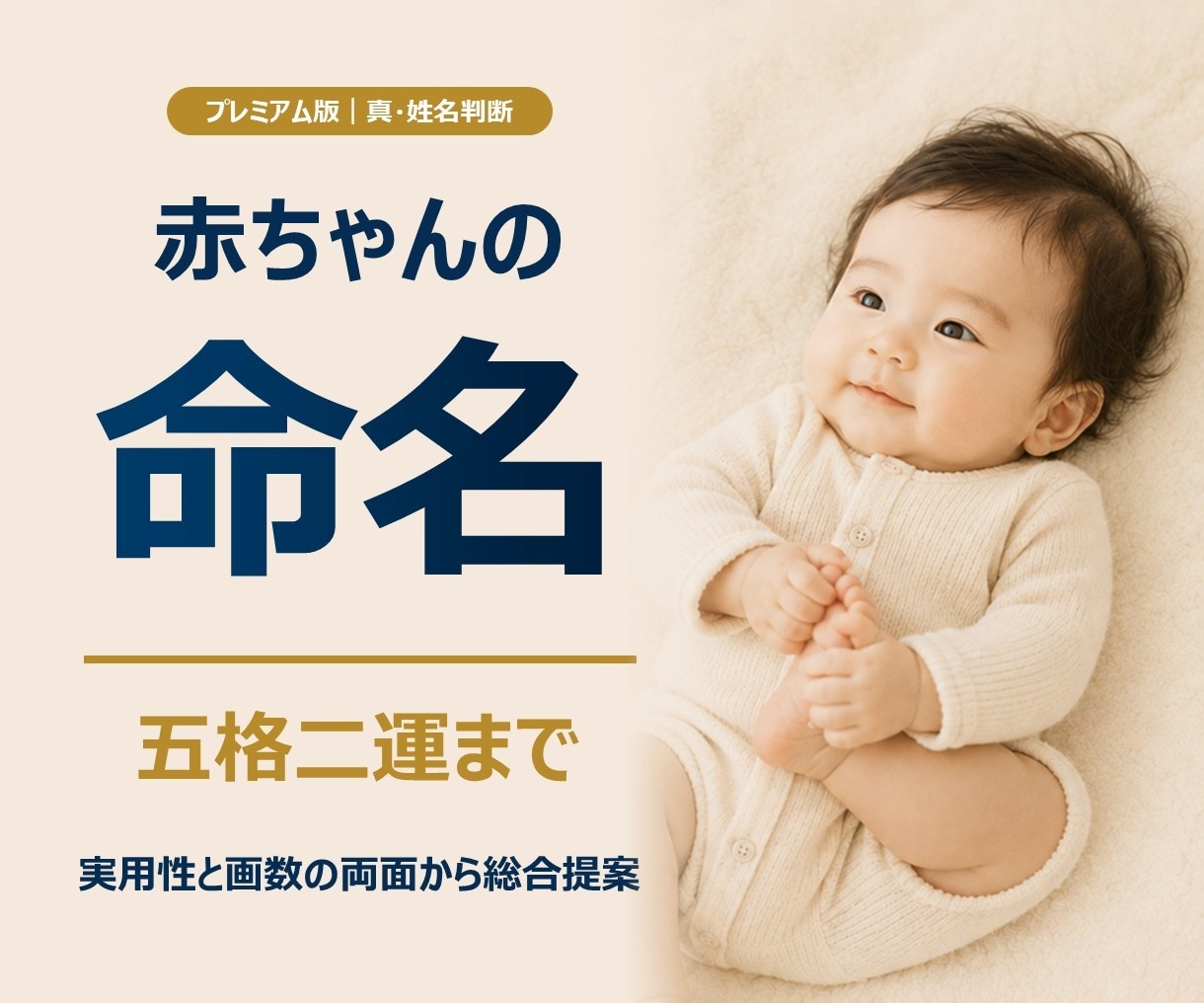 プレミアム版｜赤ちゃんの名前を真・姓名判断します 真・姓名判断に画数診断を加えた最上位命名プラン イメージ1