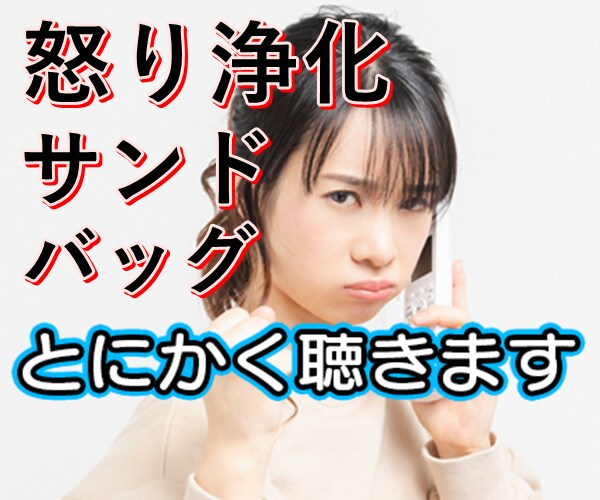 怒りの浄化装置としてあなたのサンドバッグになります ムシャクシャした気分をスッキリ解放させたい時はコチラへ... イメージ1