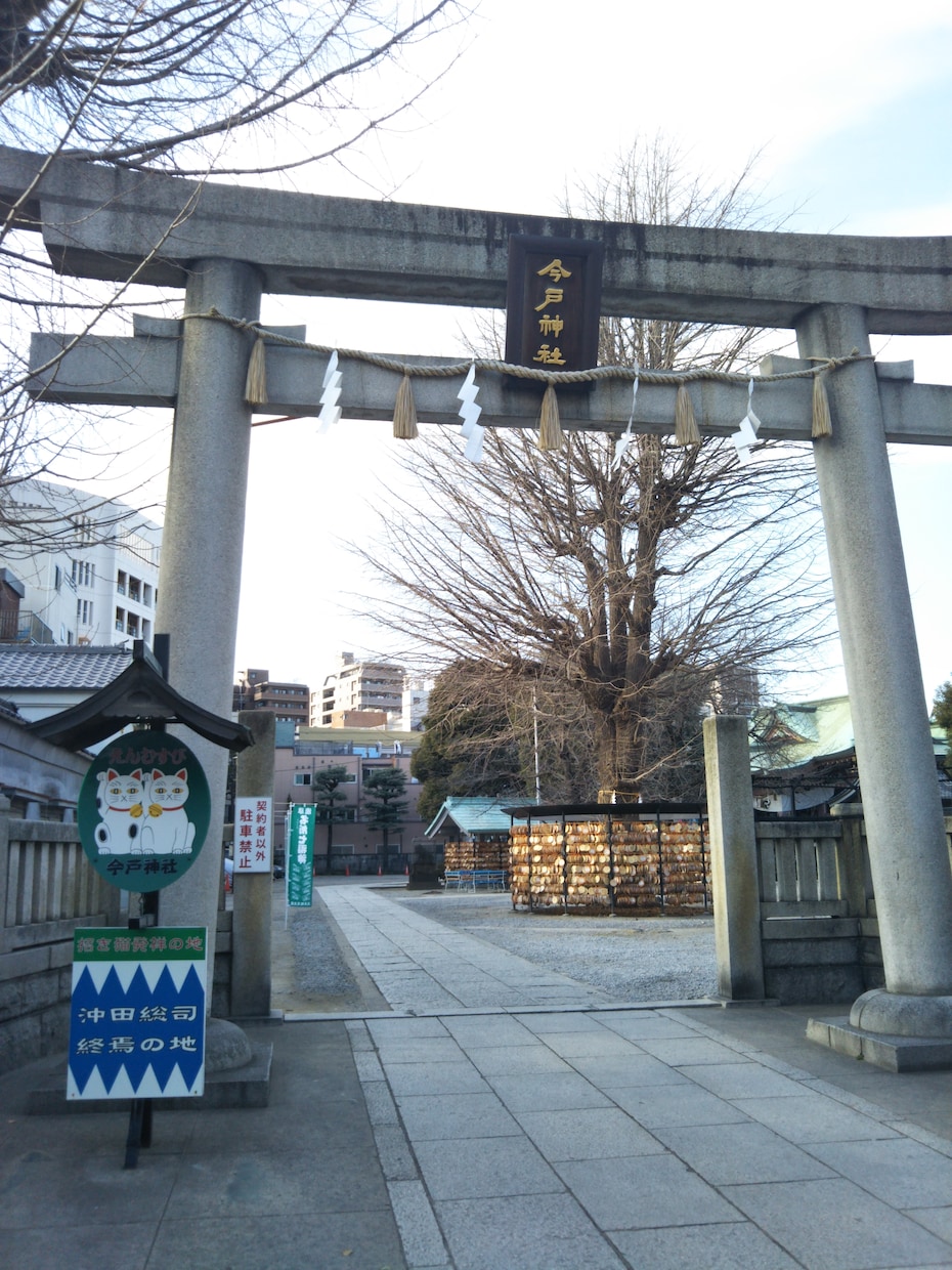 今戸神社ナミちゃん写真に癒やされますます 猫お好きな方　神社にいる白いお猫様　幸せを運んできて欲しい方 イメージ1