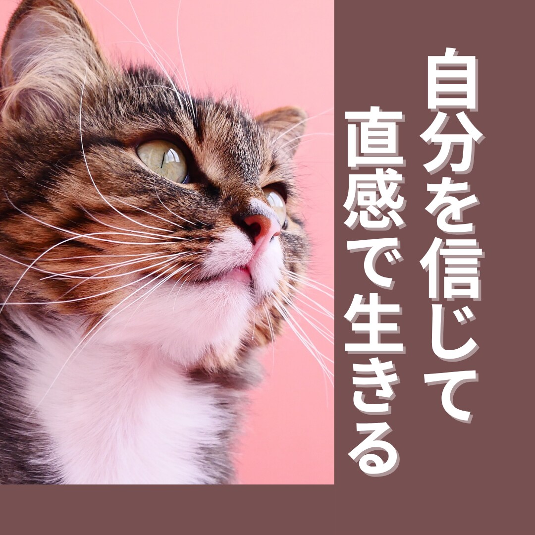 神様や龍神様の声を信じ進んできたから✨今があります 神様も天使さんも自然も大好きなあなた♡お話ししましょう イメージ1