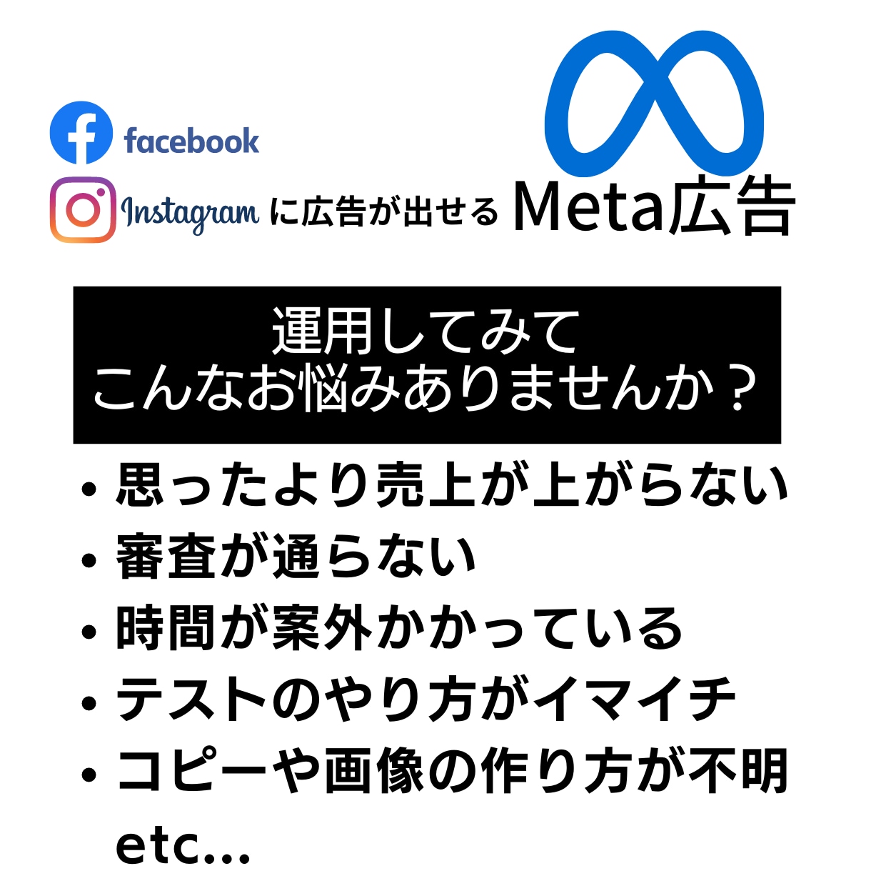 Meta広告運用コンサル※プロが全力のご提案します 【壁打ちと相談】改善・戦略を全て視て売上コミットのアドバイス イメージ2