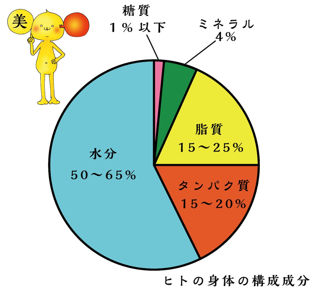 全ての人が糖質制限をする必要性がない理由を教えます 炭水化物のイロハをイラスト付き教材でわかりやすく イメージ2