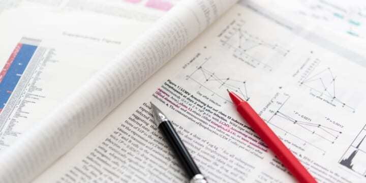 貴方の書いた文章の添削、感想などをお伝えします 就職活動、論文作成、受験対策で、客観的な意見が欲しい人に！ イメージ3