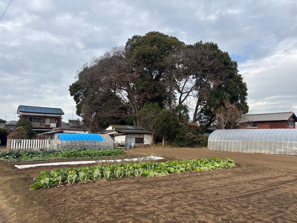 便利屋経験10年。始め方などレクチャーします どう始めたらいいか。そういう方お気軽にお問い合わせください♬ イメージ1