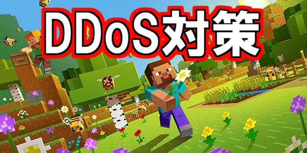 マイクラJavaサーバーのDDoS対策を行います あなたのマイクラサーバーをDDoS攻撃から守ります！ イメージ1