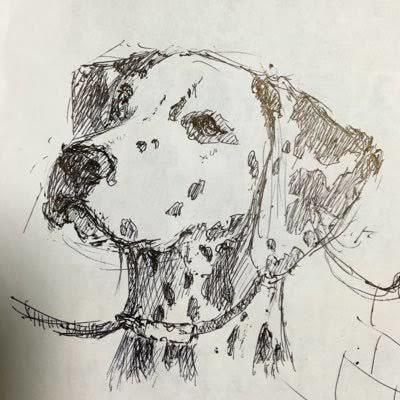 ペットのイラストを鉛筆画でお描きします 犬、猫どんな動物も承ります!初出品ですが宜しくお願いします イメージ1