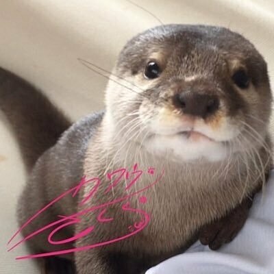 女性限定。心の悩みお聞きします 日頃のモヤモヤ少しでもはきだして明日への活力にして下さい。 イメージ2