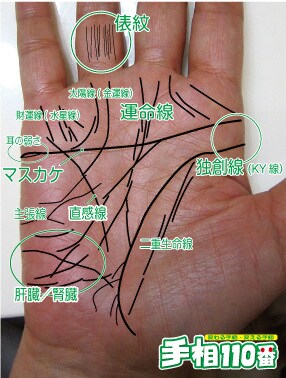 保存版!『手相鑑定書』を作成いたします 手相画像に運勢の意味や特長として現れた線の説明を加えます! イメージ6