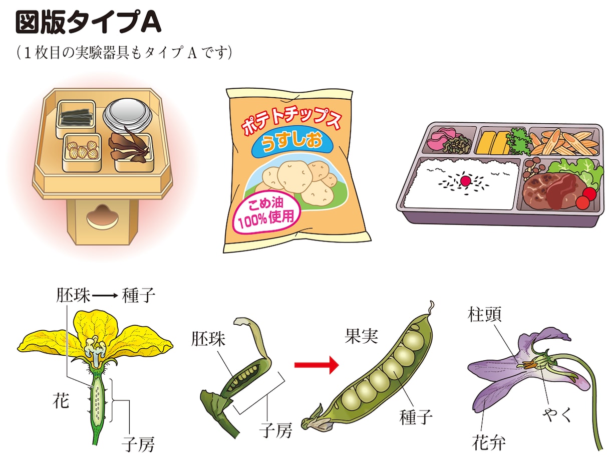 教材や医療系イラスト、広告挿し絵なんでも承ります マジメな教材イラストからポップなイラストまで イメージ3