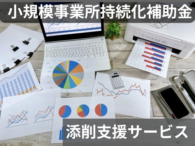 小規模事業者持続化補助金の計画書を添削支援します 審査の”ツボ”をおさえた事業計画書の作成支援！ イメージ1
