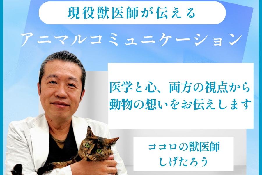 現役獣医師が動物の心の声をお伝えします 治療だけでは届かない、動物の本当の気持ちを獣医師が通訳します イメージ1
