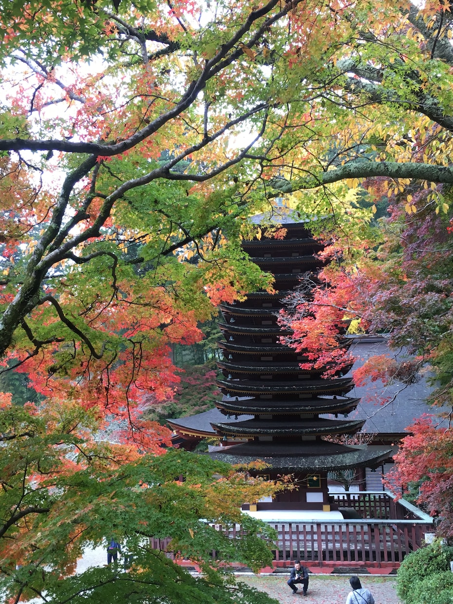 あなたの潜在能力を生年月日から診断します 本来あなたが自分が持っている得意、不得意など知りたい方へ！ イメージ1