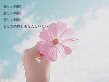 恋愛、離婚、別れ、悲しい、辛い、心の声聞きます 希望を胸に！一緒に笑い会える時間を作ります イメージ1